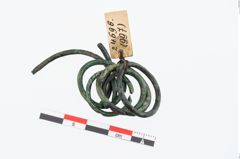 Foto von Bronzering (NHMW-PRAE-024696)